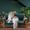 Picture Color