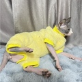 Picture Color