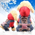 Picture Color