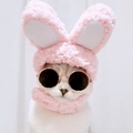 Picture Color