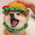 Picture Color