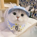 Picture Color