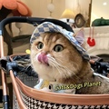 Picture Color