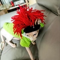 Picture Color