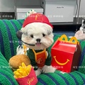 Picture Color