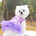 Picture Color