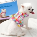 Picture Color