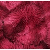 Picture Color