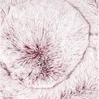 Picture Color