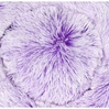 Picture Color