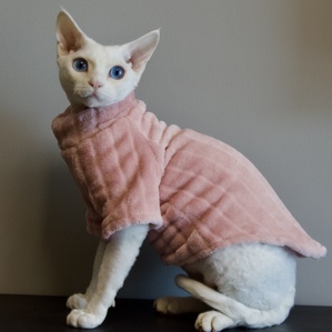 Mink fleece base thickened warm lick-resistant and dirt-resistant pet clothes