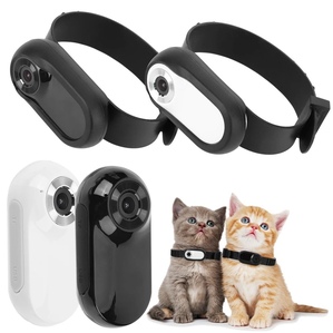 Pet thumb camera, cat perspective DV