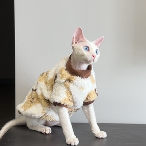 Autumn and winter warm British shorthair anti-hair loss cat clothes
