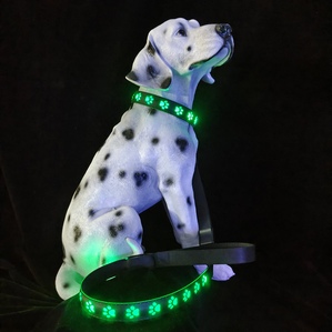 USB colorful luminous dog collar, dog claw collar