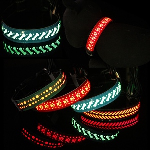 Rechargeable luminous dog collar, anti-lost collar