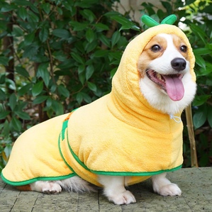 Halloween pumpkin pet cute clothes