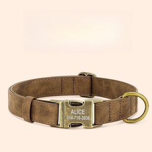Small and medium-sized dog anti-lost engraving Fashionable traction collar