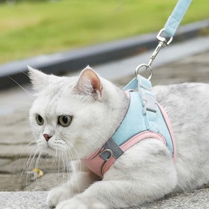 Suede color matching anti-breakaway cat walking leash H-type chest and back set