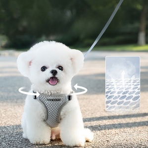 Spring and summer breathable rear plug leash chest and back set for small and medium-sized dogs