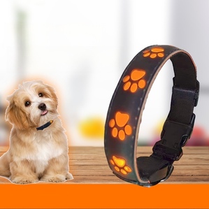Paw print USB luminous collar, night dog collar