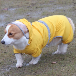 Rainy day corgi short reflective clothes