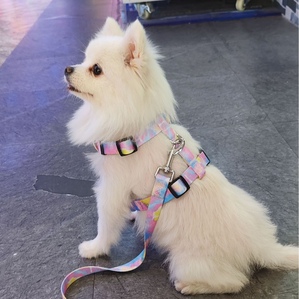 Anti-lost H-type chest and back traction Universal heat transfer process for cats and dogs