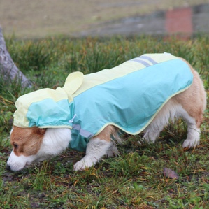 Candy two-legged pet dog reflective color matching raincoat