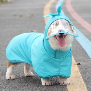 Korean version of cute puppy raincoat cape