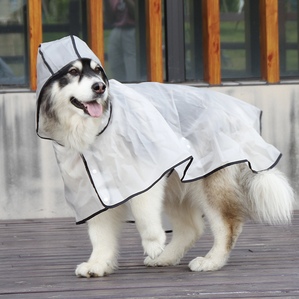 Transparent tpu dog raincoat