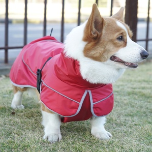 Clothes that keep warm and keep warm pet raincoat new clothing
