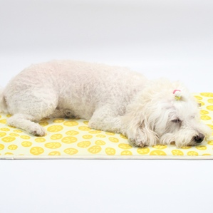 Summer thin cool 360g cartoon pet urine pad