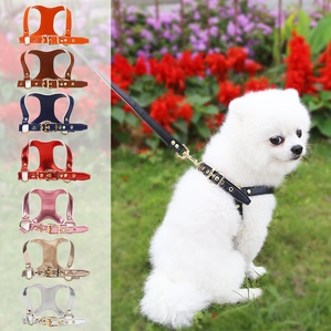 Dog-type pet chest harness traction rope Suitable for French bulldogs and Teddy