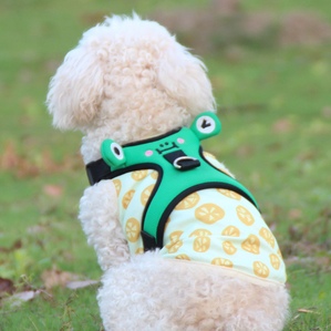 Frog pet chest harness Small dog Teddy Corgi leash