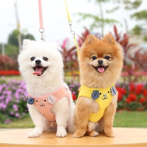 Pet outing leash Chest harness collar supplies
