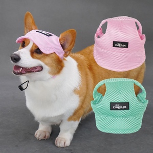 Summer breathable dog baseball cap, cute corgi sunshade in stock