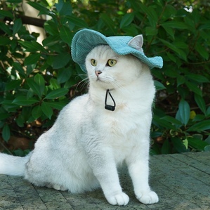 Denim ear-revealing cat sun hat, summer cute dress-up supplies