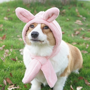 Ear-protecting warm pet headgear, winter puppy photo-taking cute style