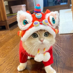 New Year tiger head pet hat, autumn and winter dog and cat funny costumes