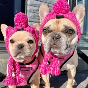 Puffy ball knitted French bulldog hat, autumn and winter warm and windproof in stock