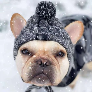 Autumn and winter wool pet hat, French bulldog, pug and teddy universal style