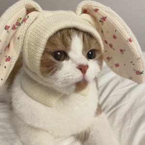 Rabbit ear knitted pet hat, autumn and winter warm cat and dog