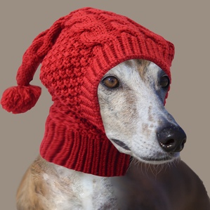 Wool greyhound pet hat, warm and cold-resistant cross-border style for autumn and winter