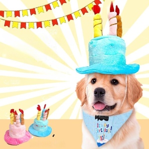 Adjustable pet birthday hat, cute plush toy