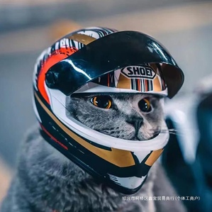Handsome motorcycle pet helmet, riding equipment for cats and dogs