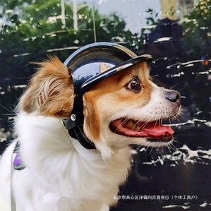 Universal woolen pet helmet, windproof glasses for dogs and cats