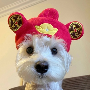 God of Wealth pet cross-dressing hat, festive and funny headdress for small dogs and cats