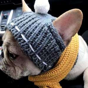 Knitted warm pet hat, cute accessories for French bulldogs in autumn and winter