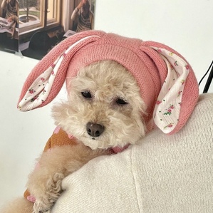Rabbit ear knitted pet hat, warm headdress for cats and dogs in autumn and winter