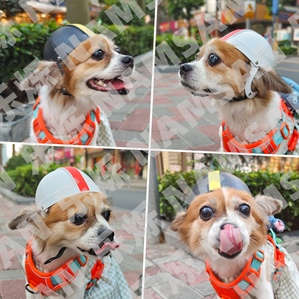 Rugby pet helmet, safety equipment for dogs and cats cycling