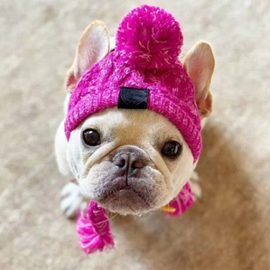 Puffy ball knitted pet headgear, autumn and winter warm French bulldogs, large and small dogs